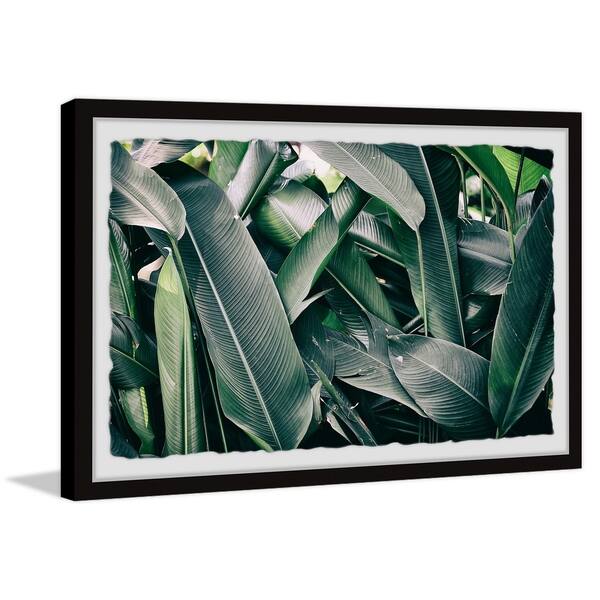 Strick Bolton Tropical Banana Leaves Framed Print Overstock 30243549