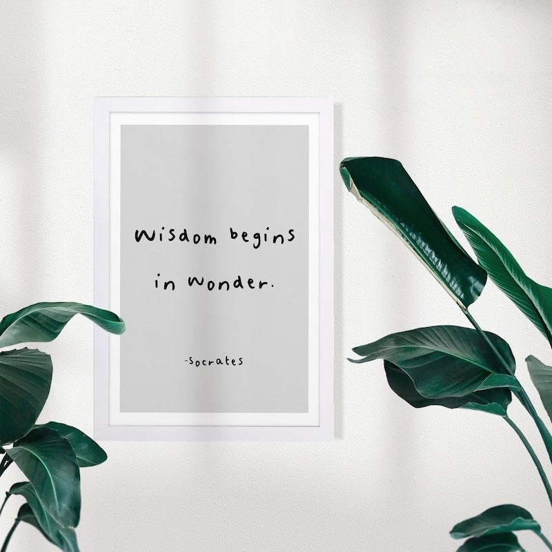 Wynwood Studio Typography and Quotes Framed Wall Art Prints 'Wisdom Wonder' Inspirational Quotes and Sayings - White, Black