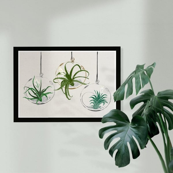 Shop Wynwood Studio Floral And Botanical Framed Wall Art Prints Hanging Air Plants In Glass Botanicals Home Decor Green White Overstock 30247909