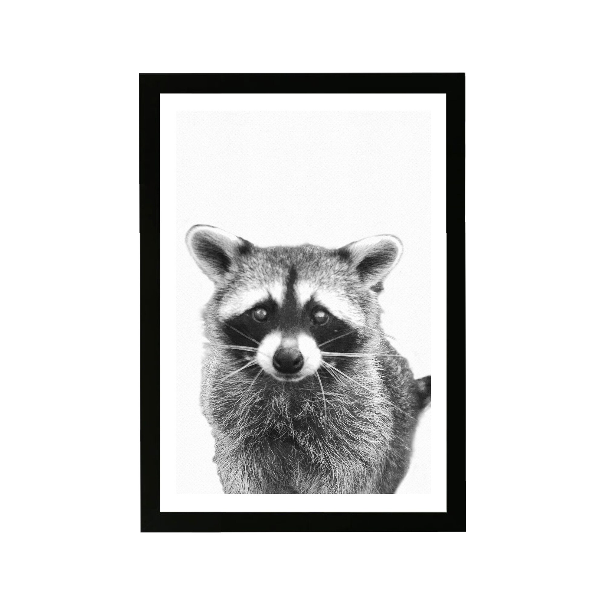 Shop Wynwood Studio Animals Framed Wall Art Prints Raccoon Zoo