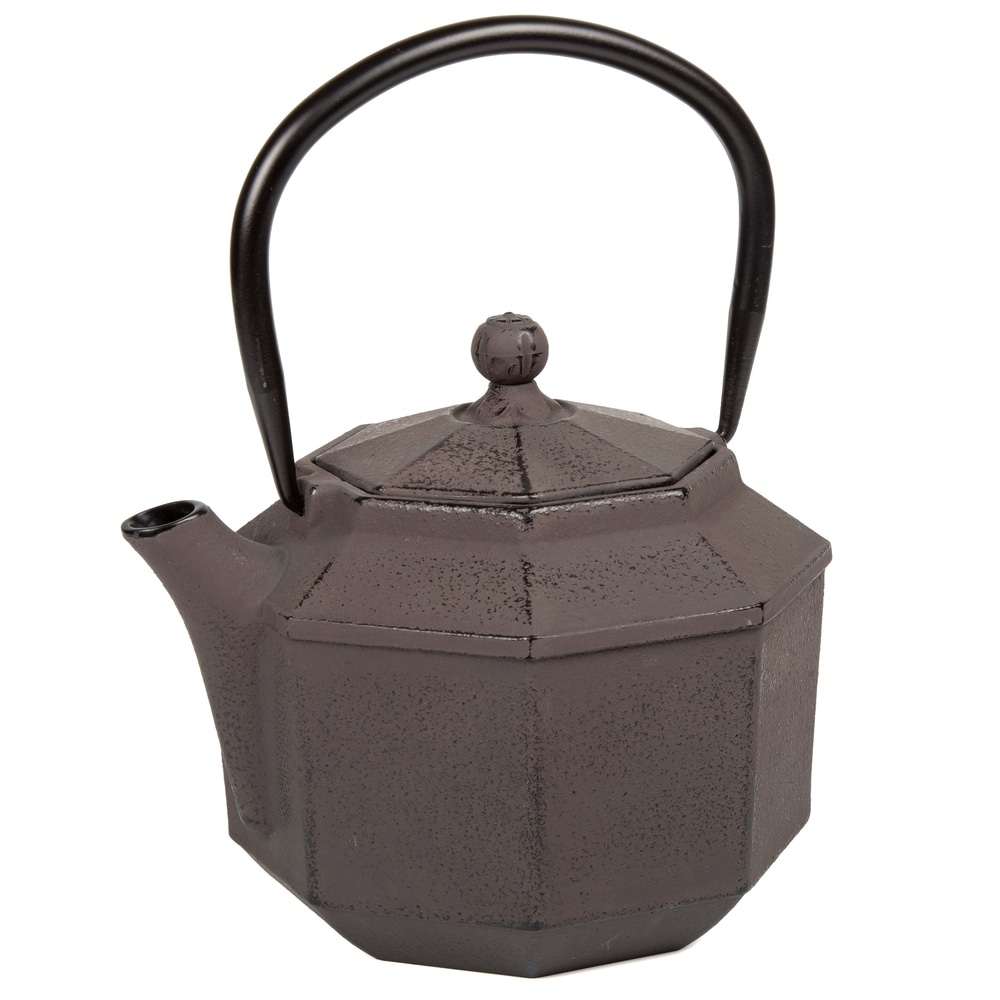 47oz Cast Iron Tea Kettle Stovetop Safe Japanese Tea Pot With -  Denmark