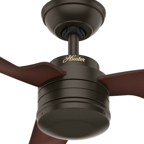 Shop Hunter 52 Cabo Frio New Bronze Outdoor Ceiling Fan With Wall