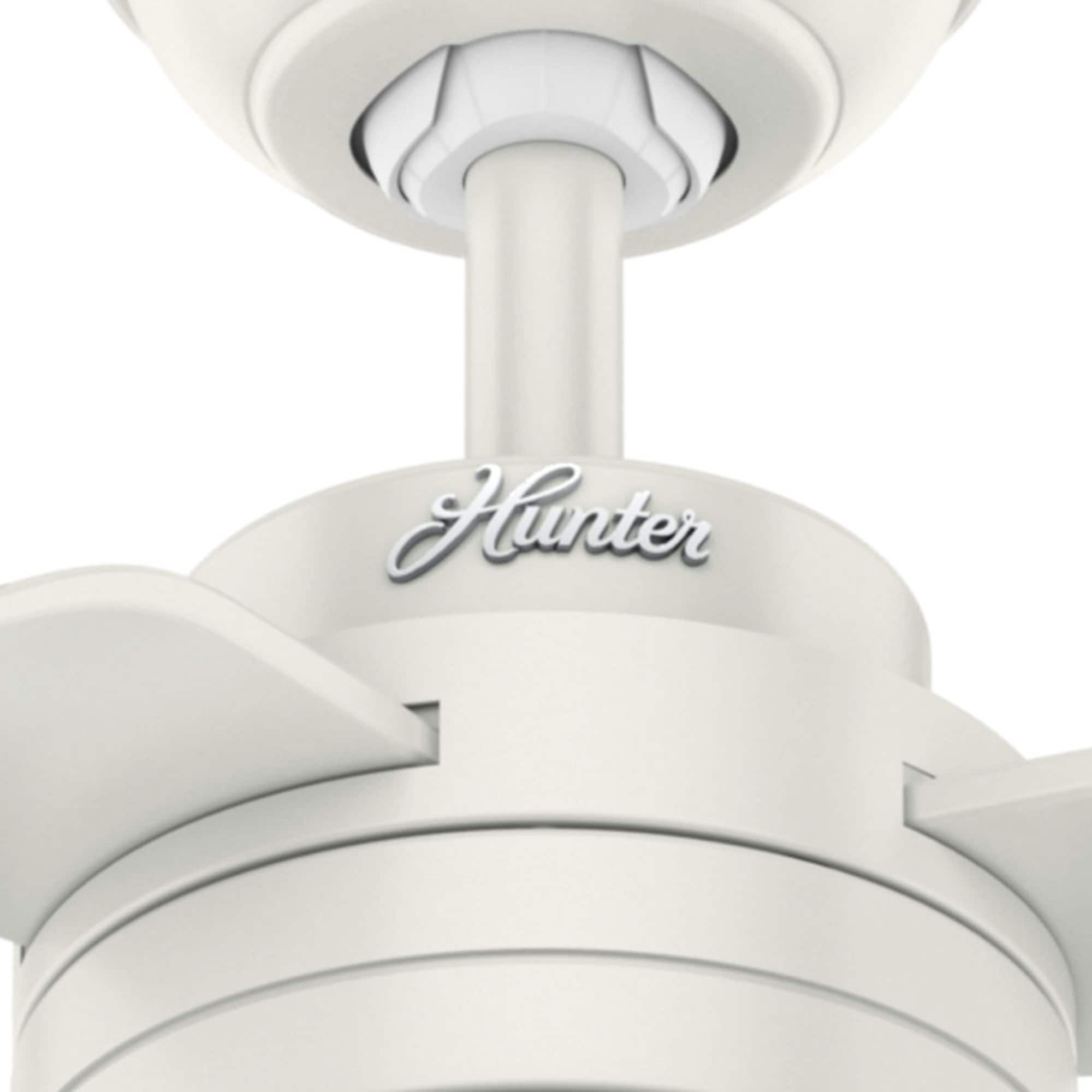 Shop Hunter 52 Cabo Frio Fresh White Outdoor Ceiling Fan With