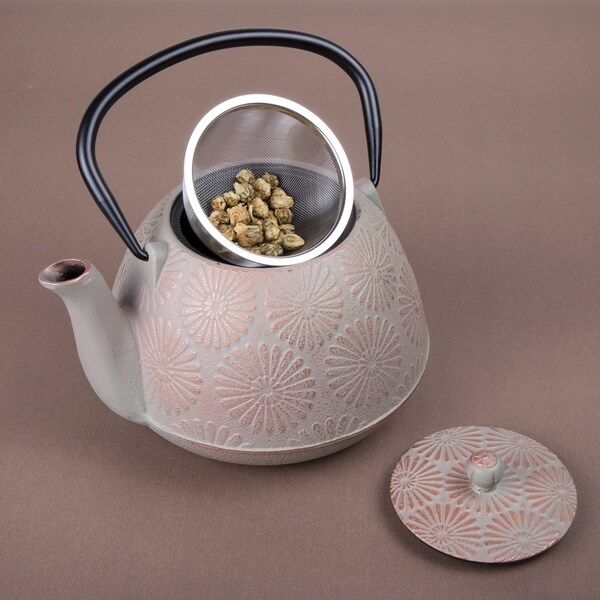 Shop Creative Home Kyusu Cast Iron Pot Japanese Tetsubin Tea Kettle