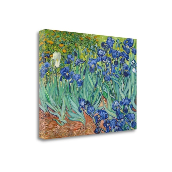 "Irises 1889" By Vincent Van Gogh, Fine Art Giclee Print on Gallery Wrap Canvas, Ready to Hang