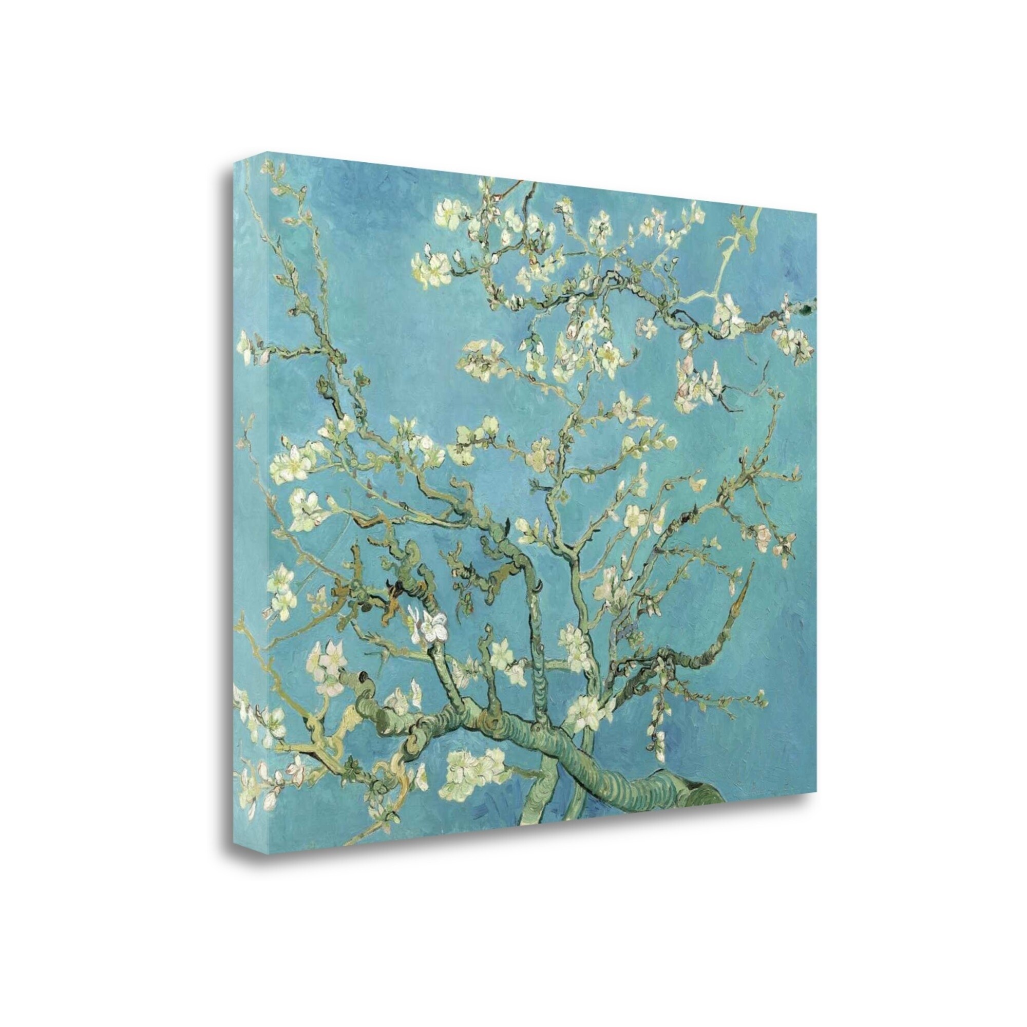 almond blossom 1890 vincent van gogh