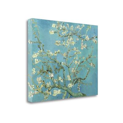 "Almond Blossoms 1890" By Vincent Van Gogh, Giclee Print on Gallery Wrap Canvas