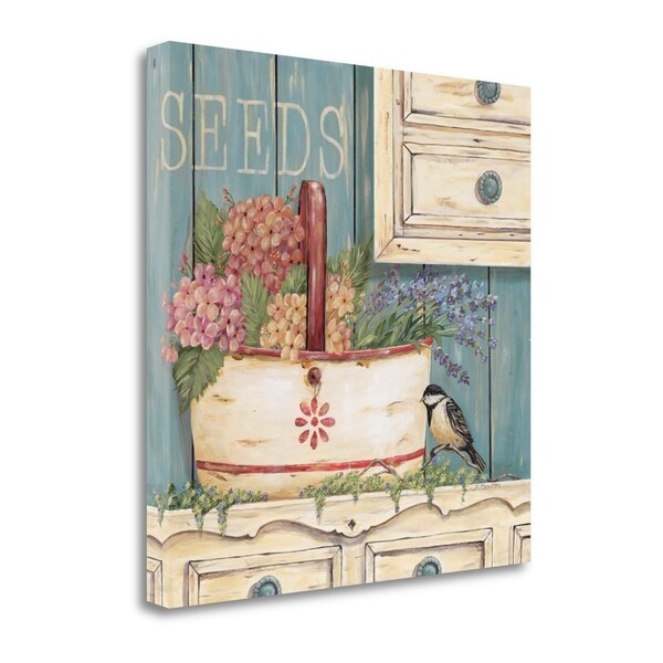 "Seeds" By Jo Moulton, Fine Art Giclee Print on Gallery Wrap Canvas, Ready to Hang