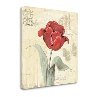 "Tulip Gem I" By Jo Moulton, Fine Art Giclee Print on Gallery Wrap Canvas, Ready to Hang