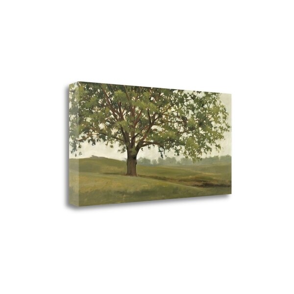 "Wisdom Grows" By Megan Lightell, Fine Art Giclee Print on Gallery Wrap Canvas, Ready to Hang