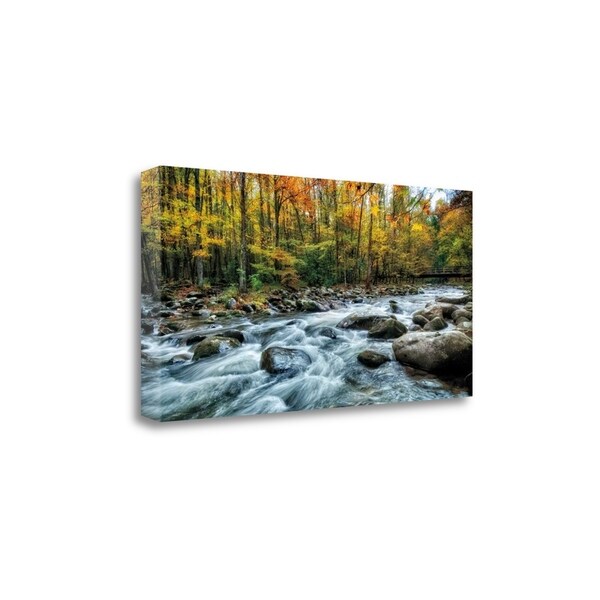 "Painted Autumn" By D. Burt, Fine Art Giclee Print on Gallery Wrap Canvas, Ready to Hang