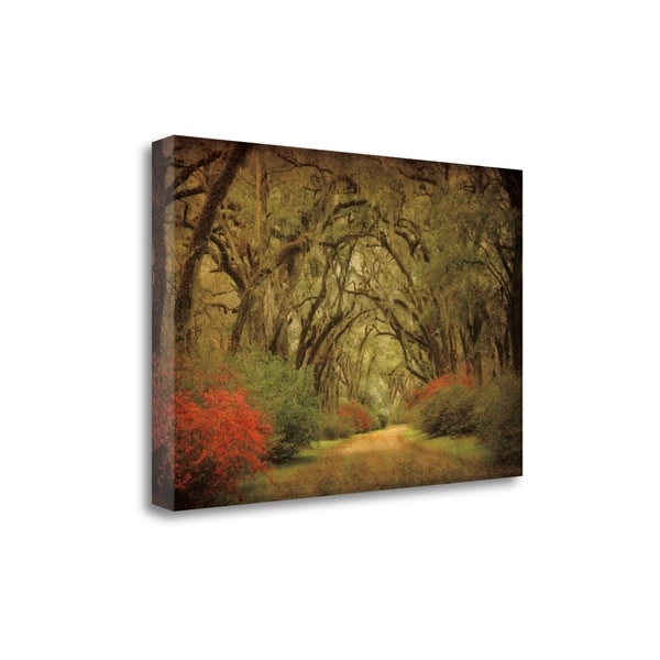 "Road Lined With Oaks And Flowers" By William Guion, Gallery Wrap Canvas