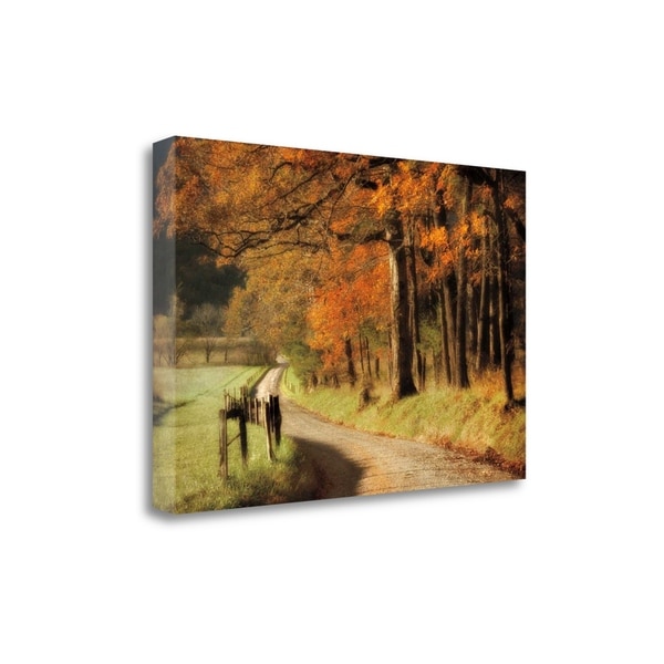 "Autumns Morning Light" By D. Burt, Fine Art Giclee Print on Gallery Wrap Canvas, Ready to Hang