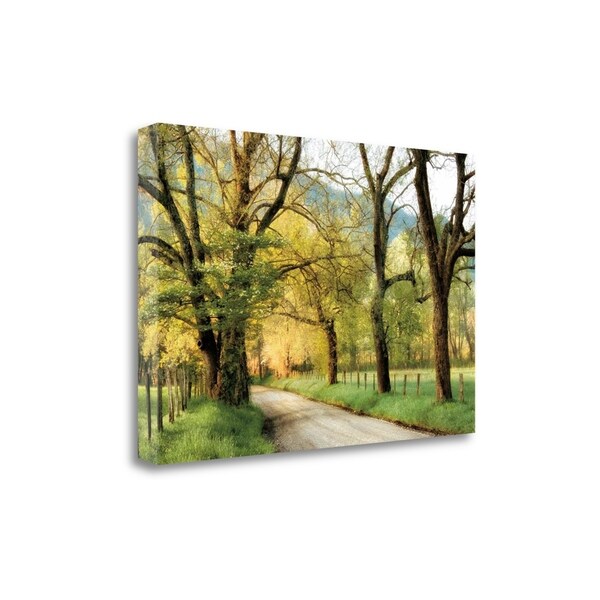 "Warm Morning Light" By D. Burt, Fine Art Giclee Print on Gallery Wrap Canvas, Ready to Hang