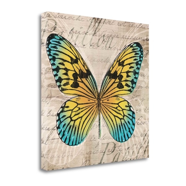 "Butterflies I" By Tandi Venter, Fine Art Giclee Print on Gallery Wrap Canvas, Ready to Hang