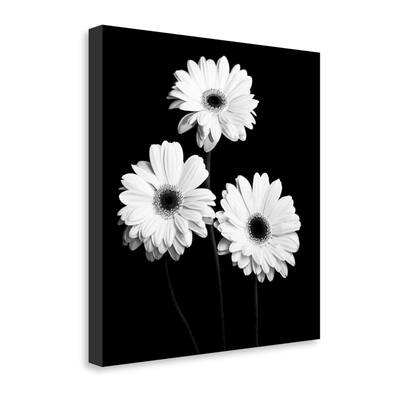 "Gerbera Portrait II" By Jeff Maihara, Fine Art Giclee Print on Gallery Wrap Canvas, Ready to Hang