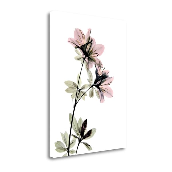 "Azalea" By Acee, Fine Art Giclee Print on Gallery Wrap Canvas, Ready to Hang