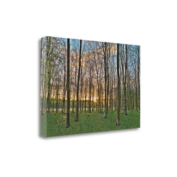 "Secret Sunset" By Assaf Frank, Fine Art Giclee Print on Gallery Wrap Canvas, Ready to Hang