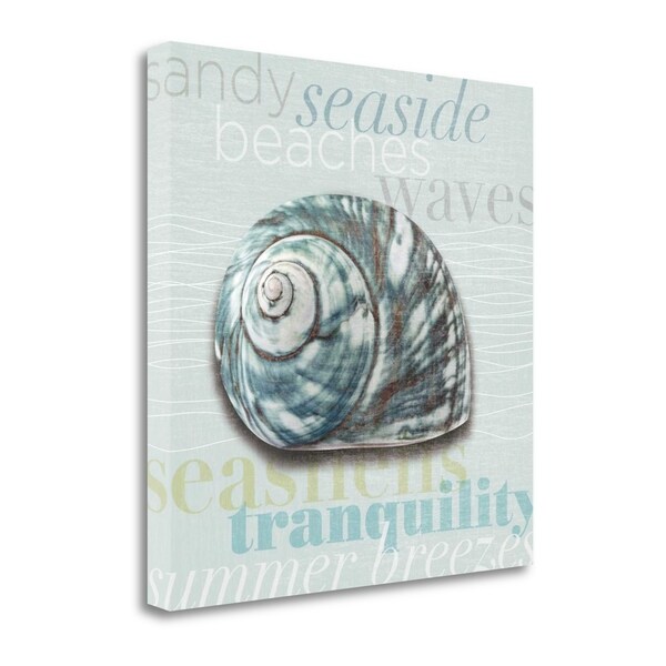 "Beach Collection I" By Tandi Venter, Fine Art Giclee Print on Gallery Wrap Canvas, Ready to Hang