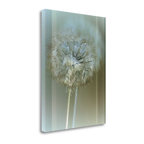 "Flaura II" By W. Blake, Fine Art Giclee Print on Gallery Wrap Canvas, Ready to Hang
