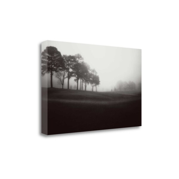 "Fog Tree Study III" By Jamie Cook, Fine Art Giclee Print on Gallery Wrap Canvas, Ready to Hang