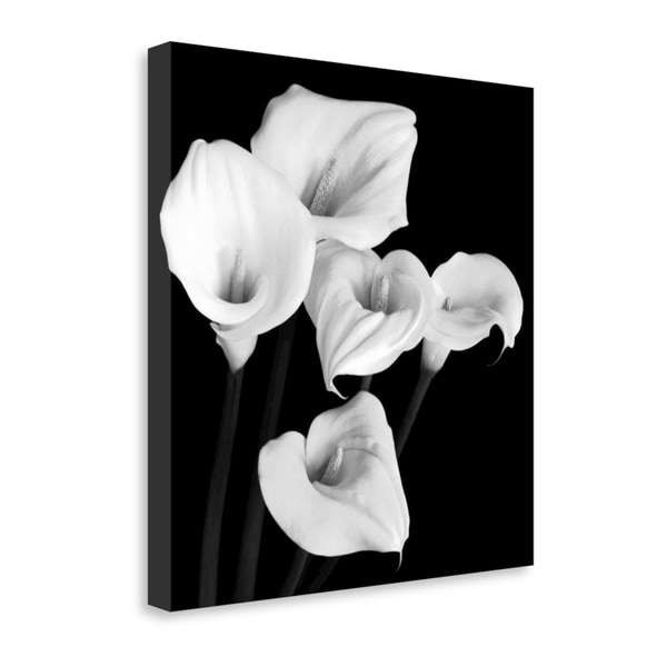 "Harmony" By Michael Faragher, Fine Art Giclee Print on Gallery Wrap Canvas, Ready to Hang