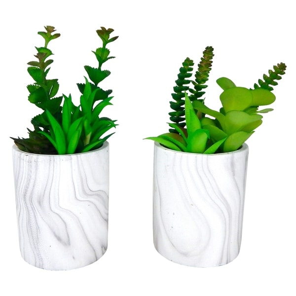 Set of 2 succulents in modern marble pots