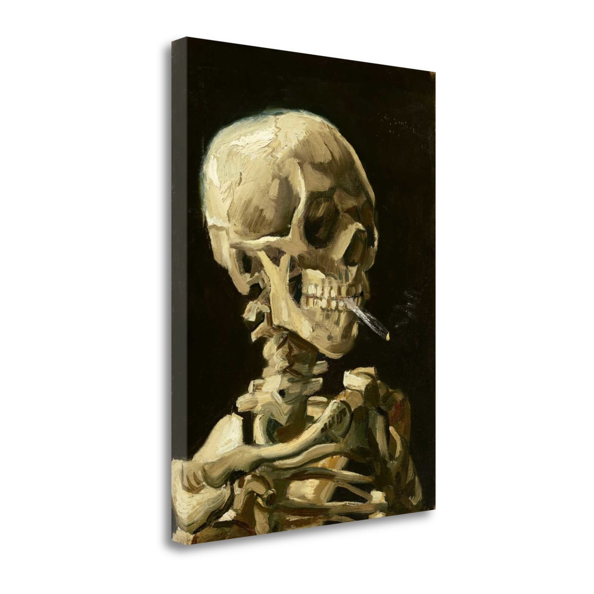 vincent van gogh skull