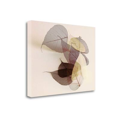 "Sauvignon Blanc" By Durwood Zedd, Fine Art Giclee Print on Gallery Wrap Canvas, Ready to Hang