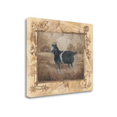 "Goat" By Anita Phillips, Fine Art Giclee Print on Gallery Wrap Canvas, Ready to Hang