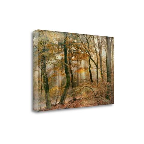 "You Cant Hide Your Rays For Me" By Lars Van De Goor, Gallery Wrap Canvas