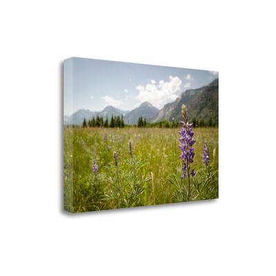 "Glacier National Park" By Amber Berninger, Giclee Print on Gallery Wrap Canvas