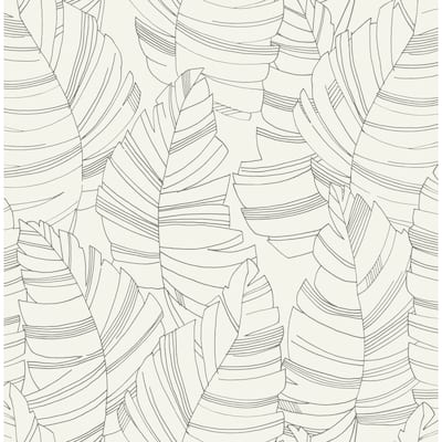 Matte Jungle Leaves Wallpaper, 32.82 feet long X 20.5 inchs Wide, Charcoal