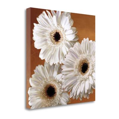 "Gerber Delight II" By Janel Pahl, Fine Art Giclee Print on Gallery Wrap Canvas, Ready to Hang