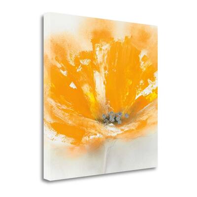 "Wild Orange Sherbet I" By J.P. Prior, Fine Art Giclee Print on Gallery Wrap Canvas, Ready to Hang