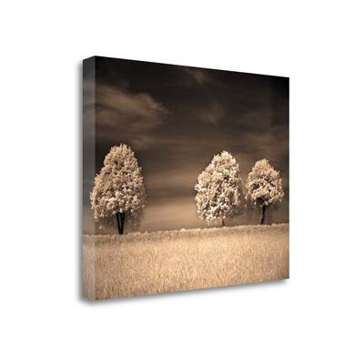 "Together And Alone II" By Ily Szilagyi, Giclee Print on Gallery Wrap Canvas