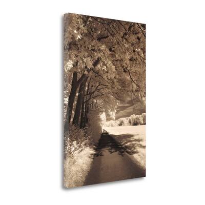 "The Path Ahead" By Ily Szilagyi, Fine Art Giclee Print on Gallery Wrap Canvas, Ready to Hang