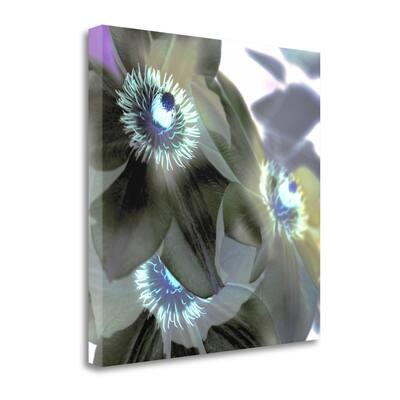 "Floral Color - 14" By Alan Blaustein, Fine Art Giclee Print on Gallery Wrap Canvas, Ready to Hang