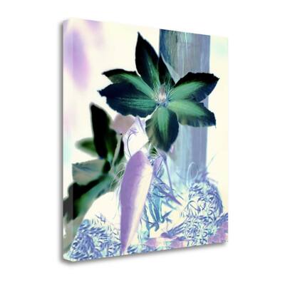 "Floral Color - 10" By Alan Blaustein, Fine Art Giclee Print on Gallery Wrap Canvas, Ready to Hang