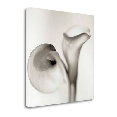 "Florison - 35" By Alan Blaustein, Fine Art Giclee Print on Gallery Wrap Canvas, Ready to Hang