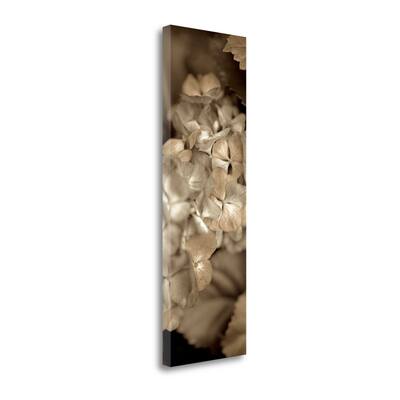 "Florison - 90" By Alan Blaustein, Fine Art Giclee Print on Gallery Wrap Canvas, Ready to Hang