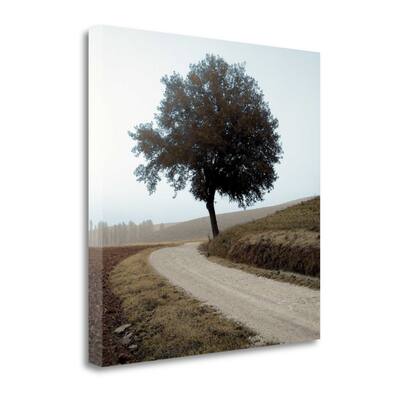 "Tuscany - 12" By Alan Blaustein, Fine Art Giclee Print on Gallery Wrap Canvas, Ready to Hang