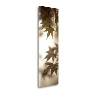 "Florison - 97" By Alan Blaustein, Fine Art Giclee Print on Gallery Wrap Canvas, Ready to Hang