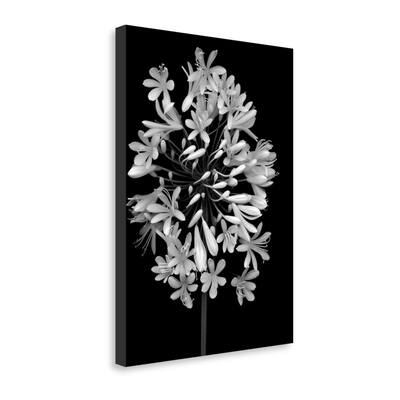 "Floral B - W - 28" By Alan Blaustein, Fine Art Giclee Print on Gallery Wrap Canvas, Ready to Hang