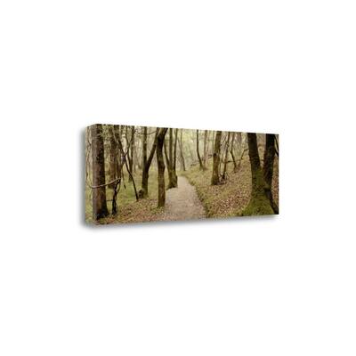 "Oak Tree - 46" By Alan Blaustein, Fine Art Giclee Print on Gallery Wrap Canvas, Ready to Hang