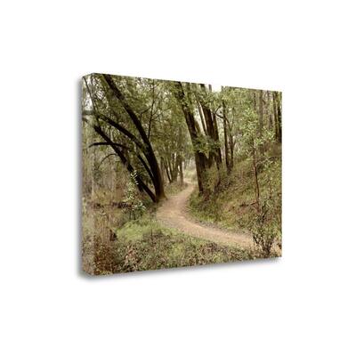 "Oak Tree - 51" By Alan Blaustein, Fine Art Giclee Print on Gallery Wrap Canvas, Ready to Hang