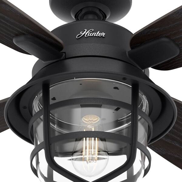 Shop Hunter 52 Port Royale Natural Iron Damp Ceiling Fan W Led