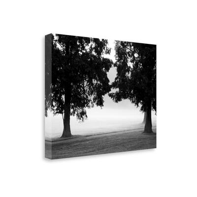 "Fog In The Park II" By Gary Bydlo, Fine Art Giclee Print on Gallery Wrap Canvas, Ready to Hang