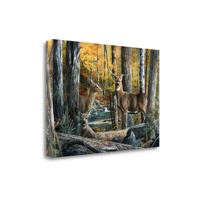 "Broken Silence I" By Kevin Daniel, Fine Art Giclee Print on Gallery Wrap Canvas, Ready to Hang