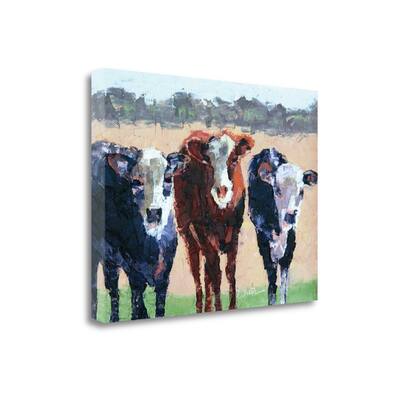 "Three Jerseys" By Leslie Seata, Fine Art Giclee Print on Gallery Wrap Canvas, Ready to Hang